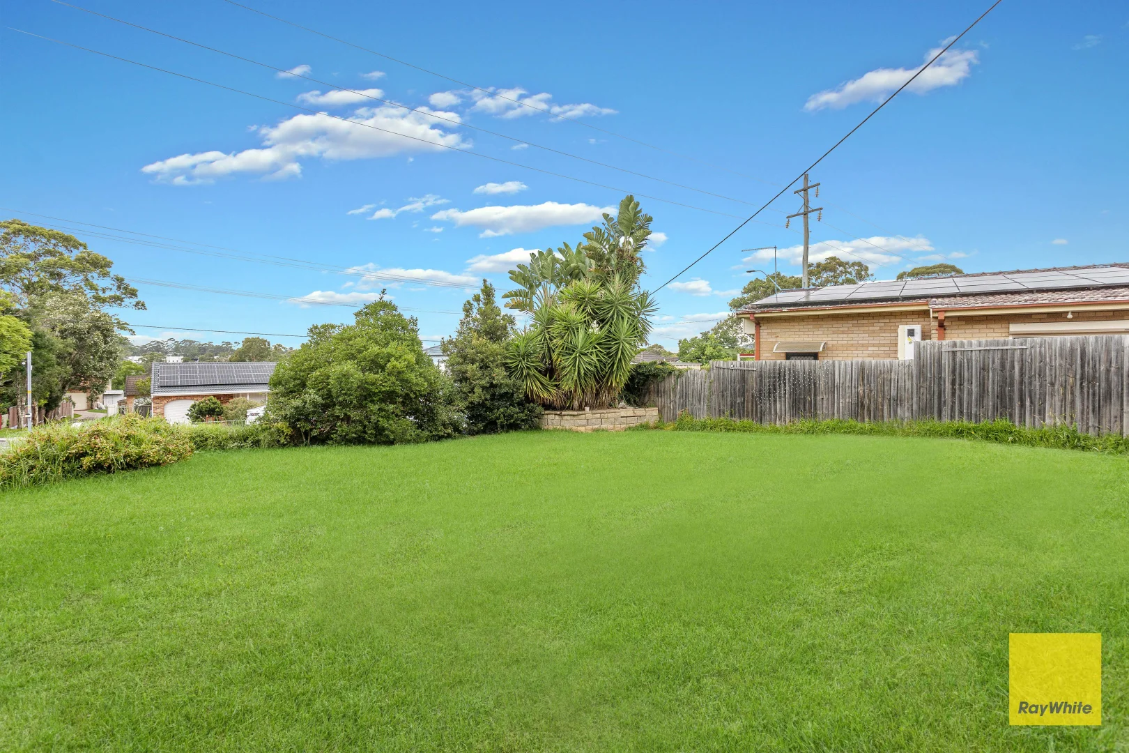 Additional image 13 of 143 Cornelia Road, Seven Hills NSW 2147