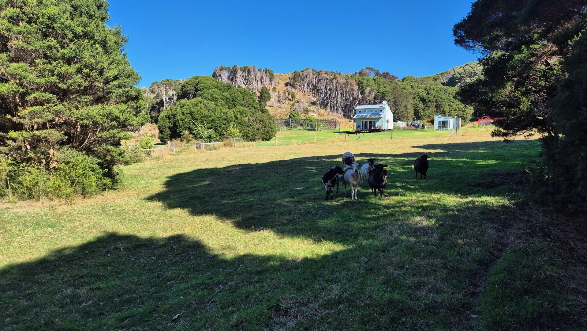 Additional image 10 of 25 Stephenson Street, Naracoopa TAS 7256