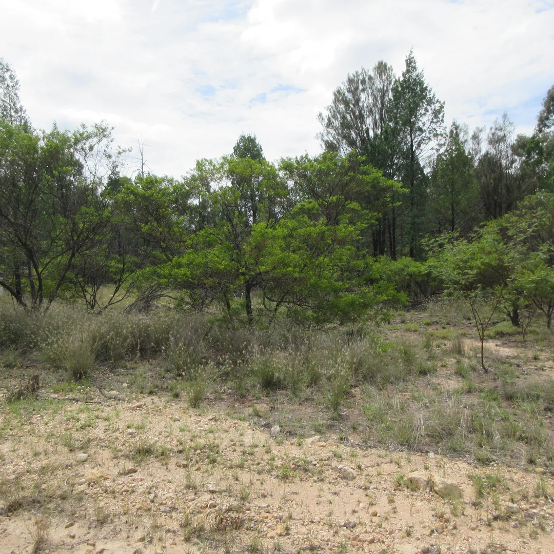 Additional image 2 of 85 Harwoods Road, Tara QLD 4421