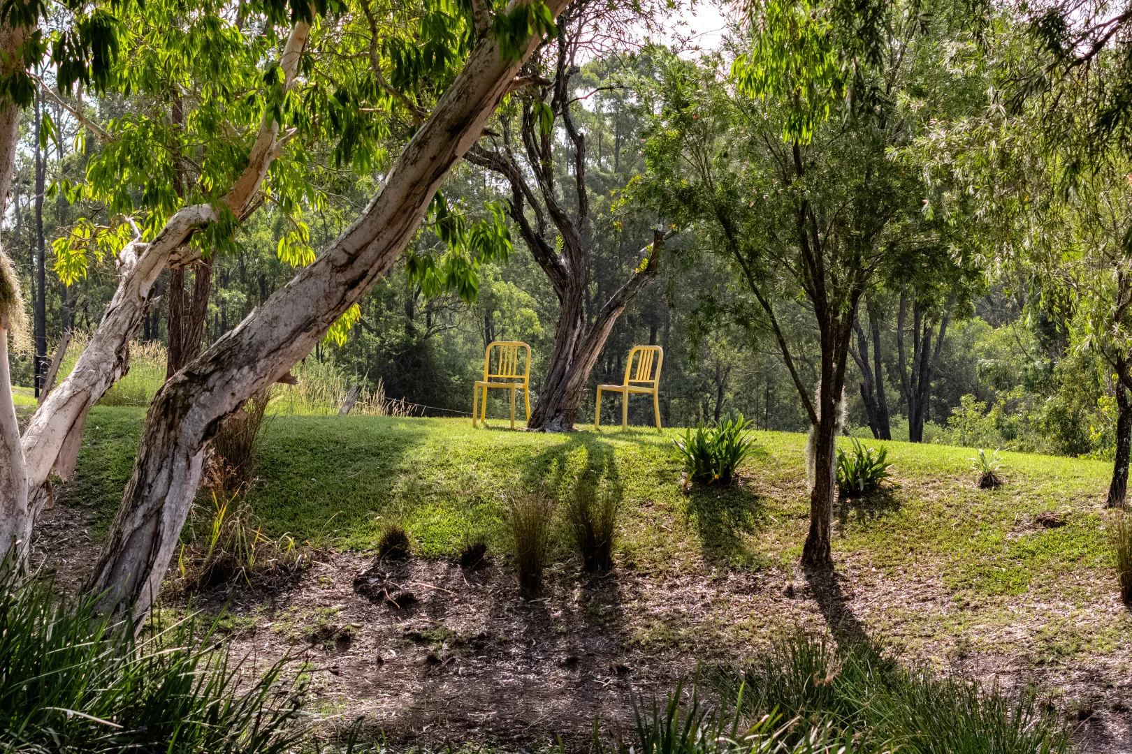 Additional image 22 of 97 Bulby Close, Wang Wauk NSW 2423