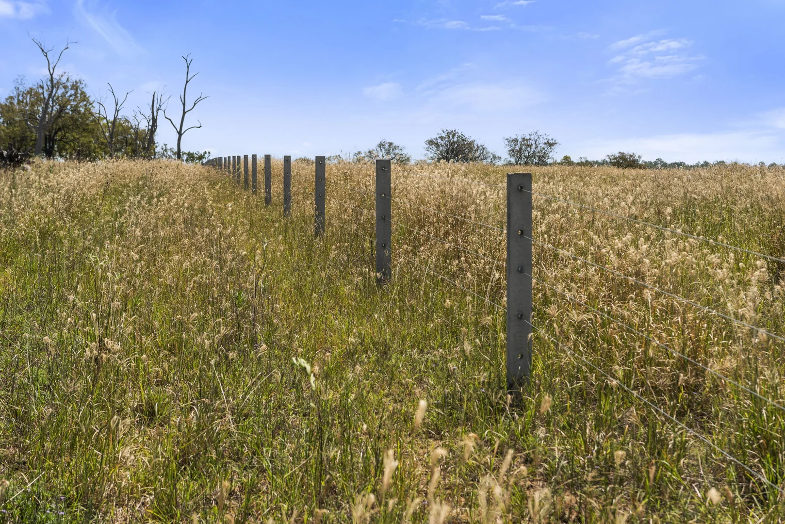 Additional image 10 of 167 Stark Road, Talgai QLD 4362