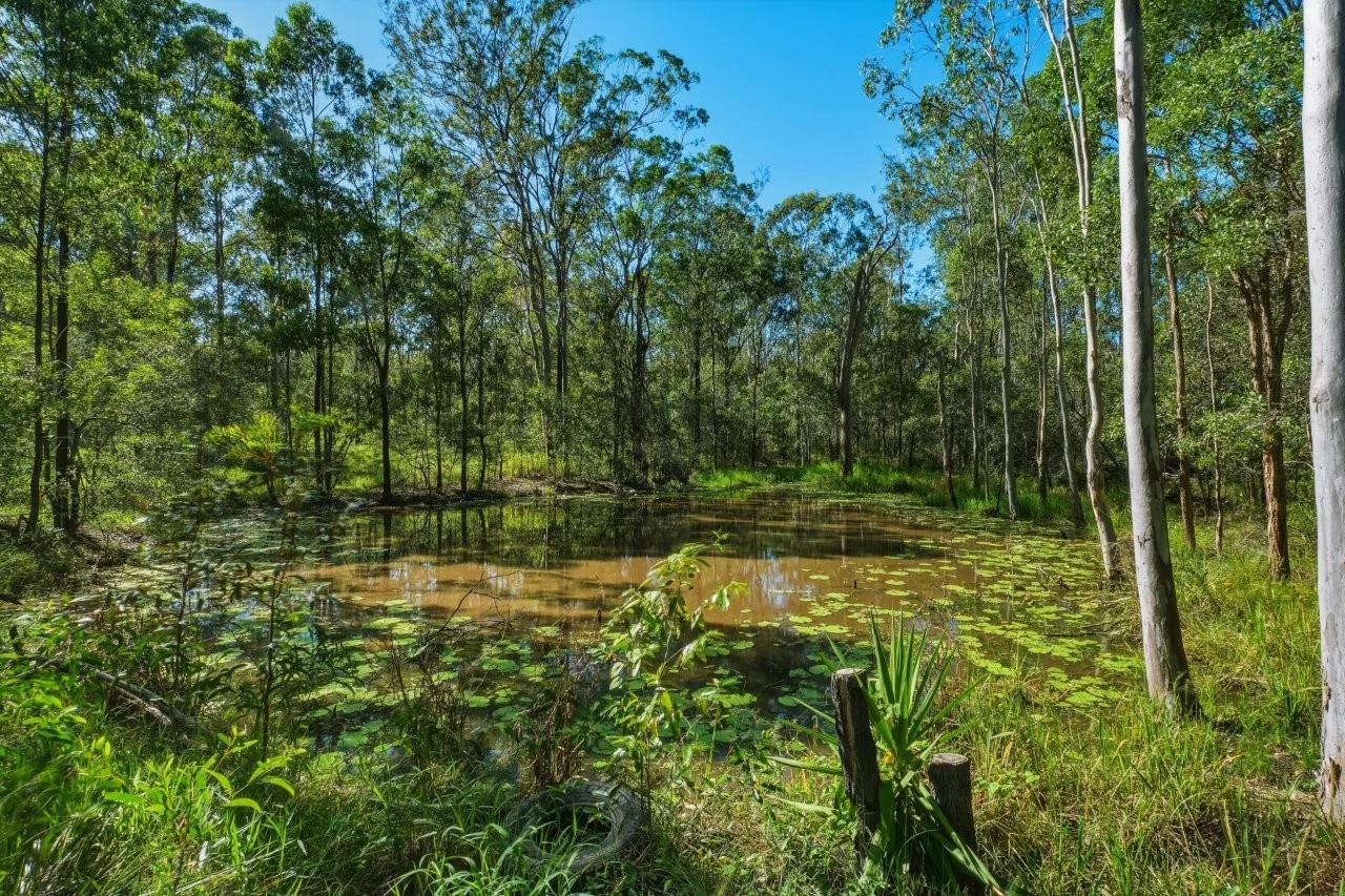 Additional image 4 of 138 Donald Drive, Curra QLD 4570