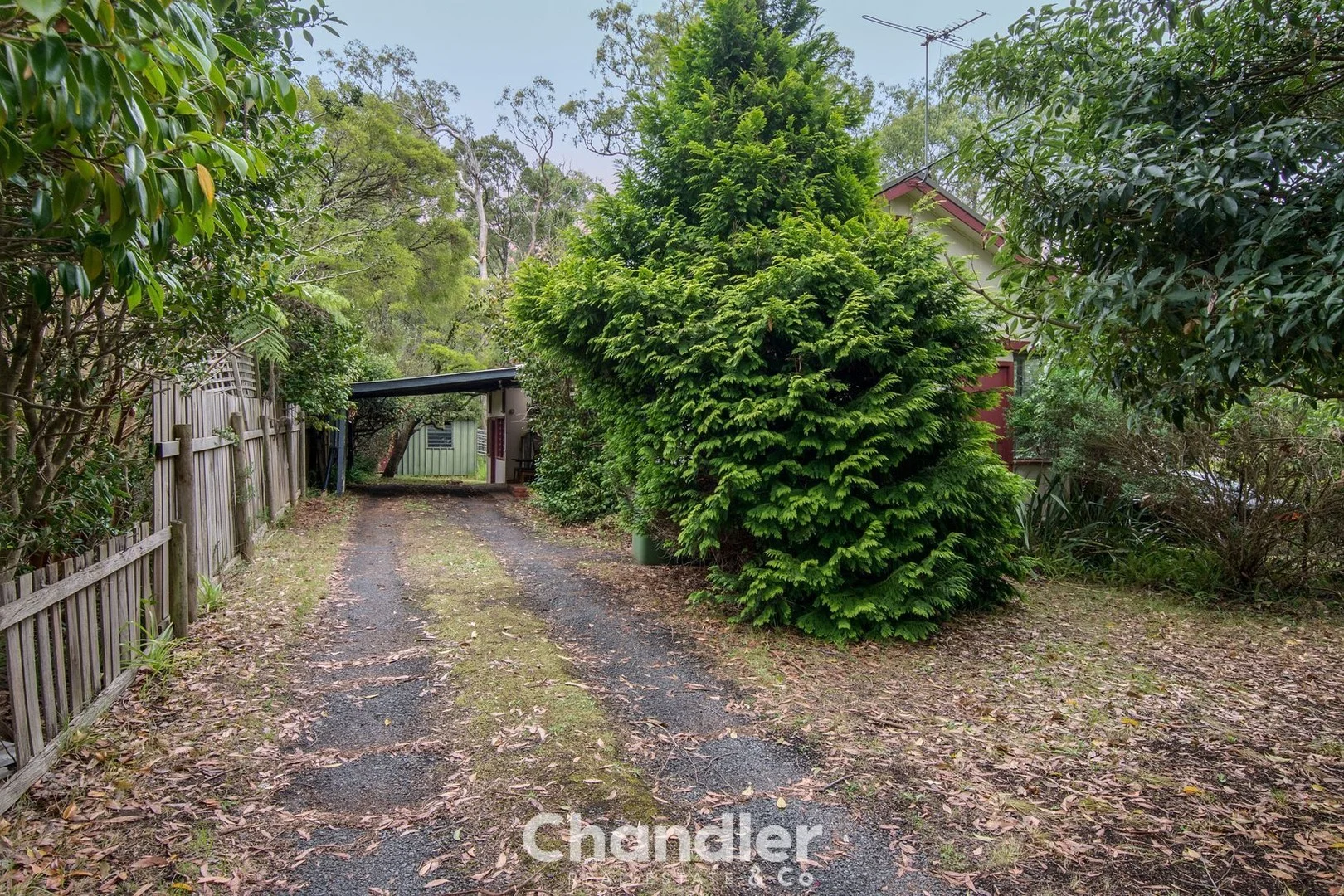 36 Bartley Road, Belgrave Heights VIC 3160