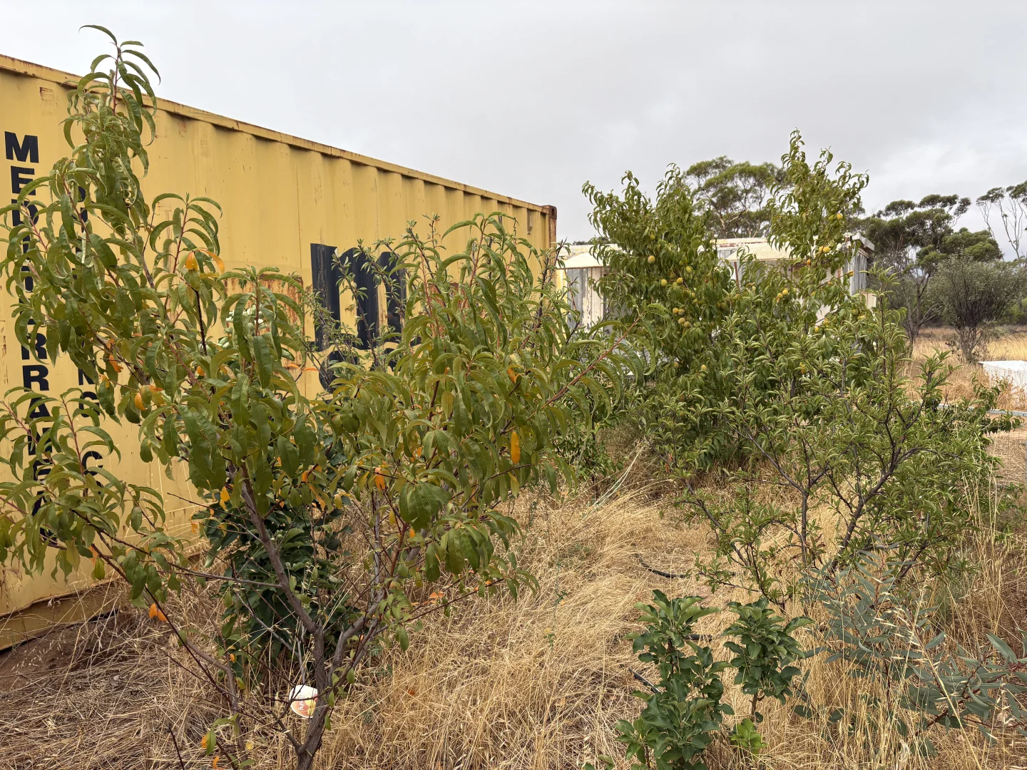 Additional image 10 of Lot 104 Cant Road, Kimba SA 5641