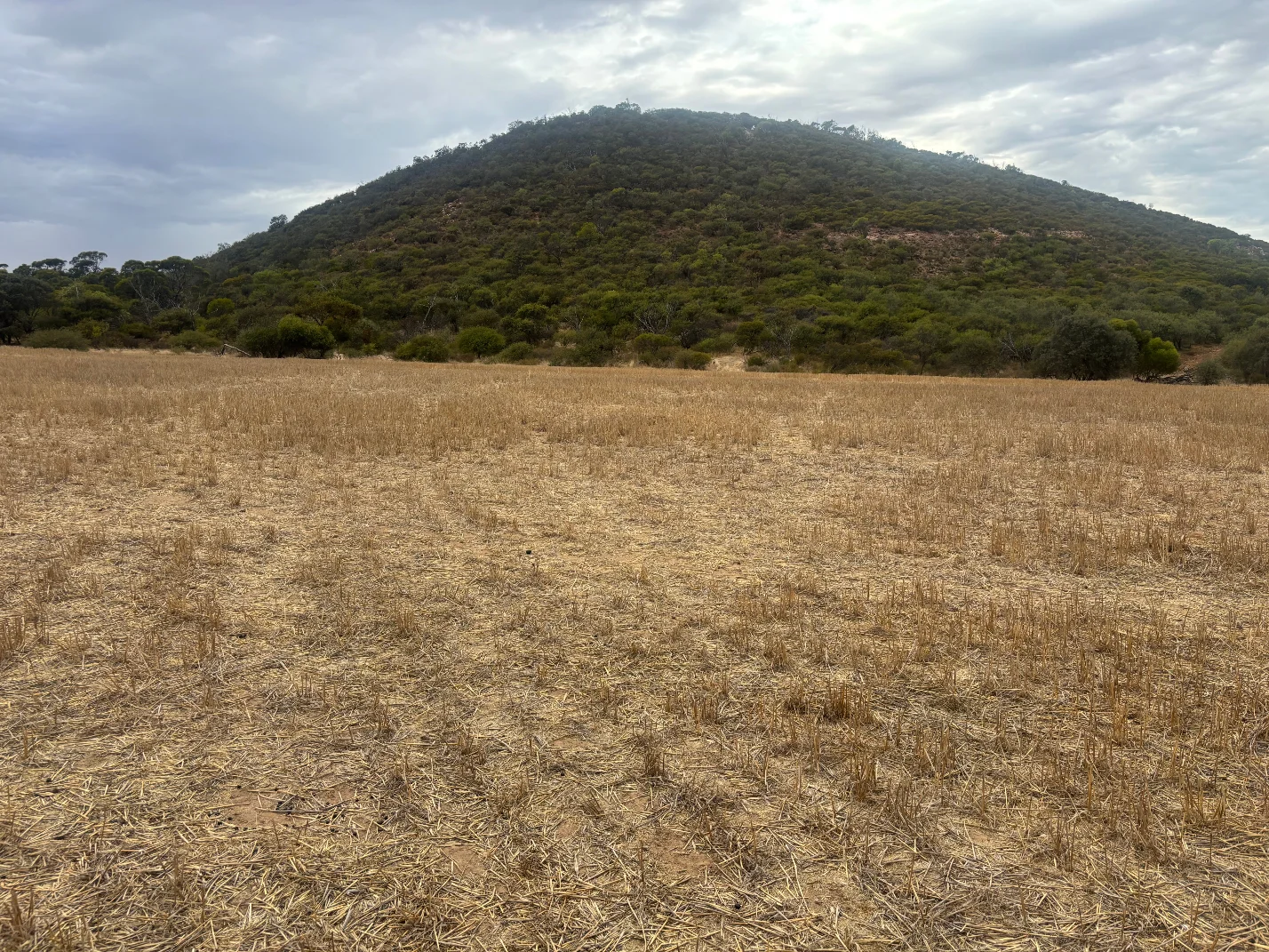 Additional image 8 of Lot 1 Giles Road, Moonyoonooka WA 6532