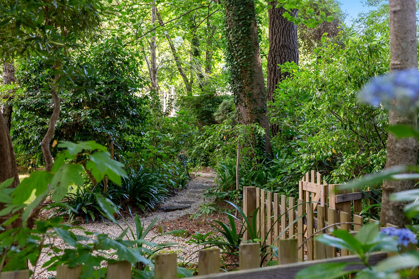 Additional image 2 of 26 Scott Avenue, Leura NSW 2780