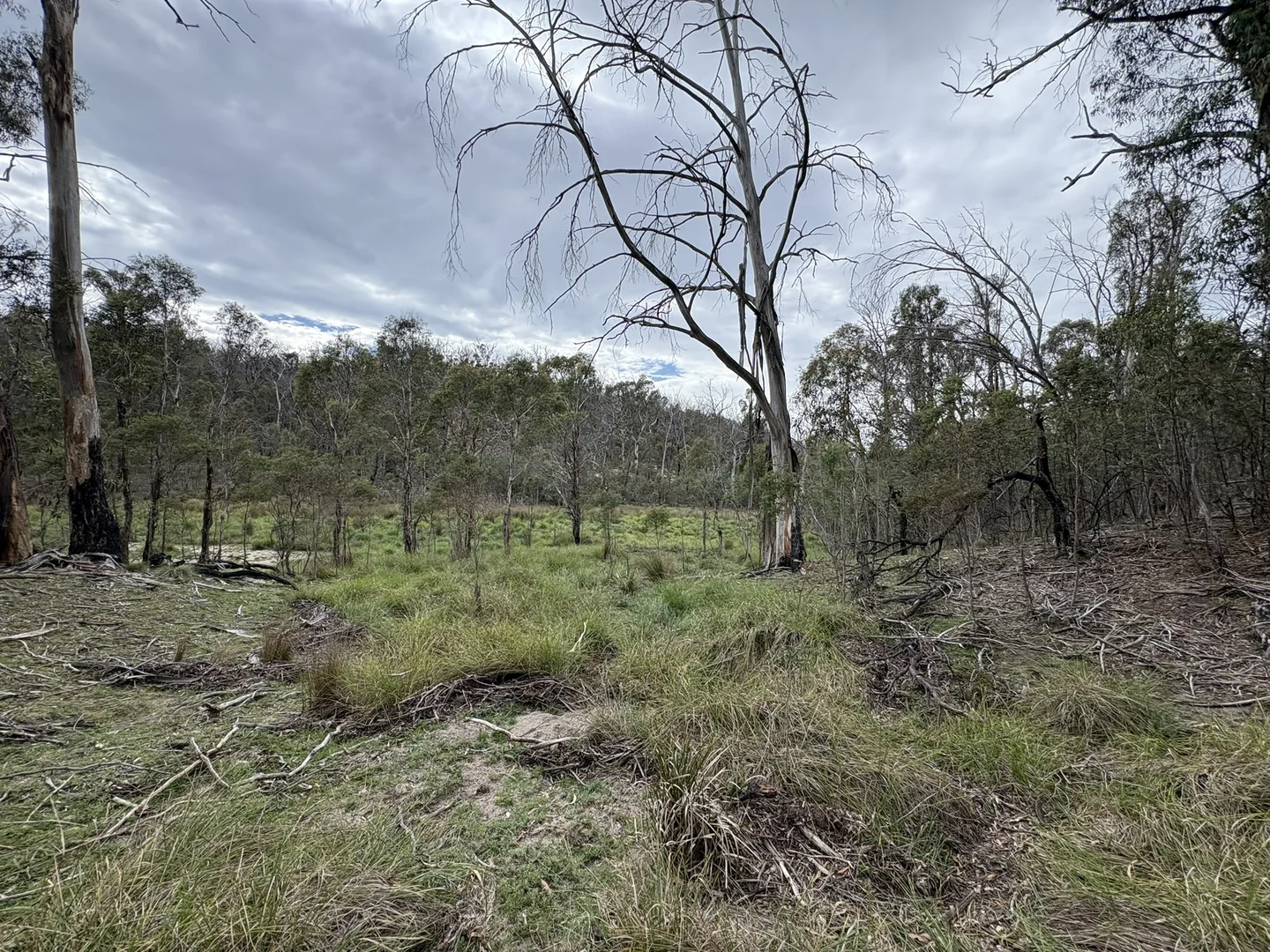 Additional image 10 of Lot 97/97, 175 Tumbledown Road, Peak View NSW 2630