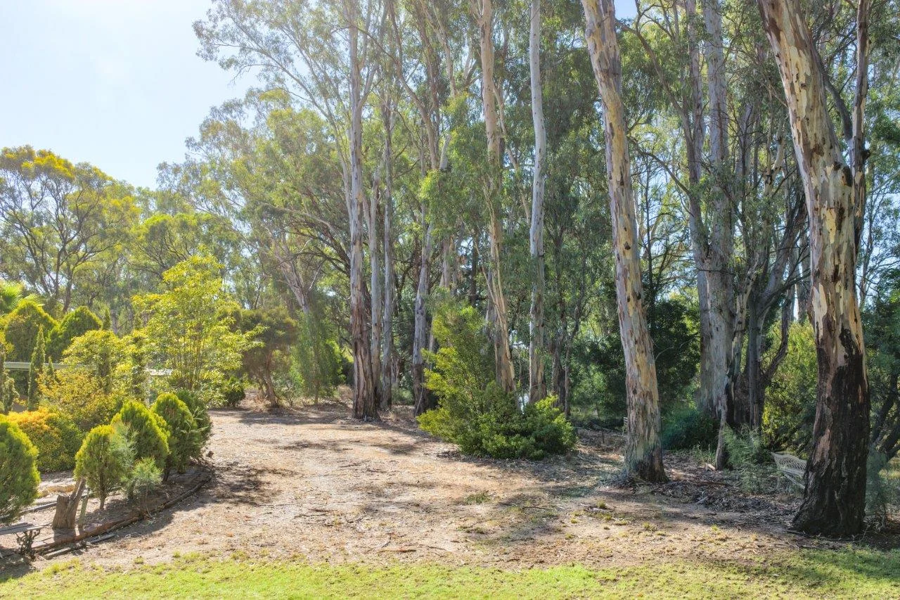 Additional image 15 of 318 MOULAMEIN Road, Barham NSW 2732