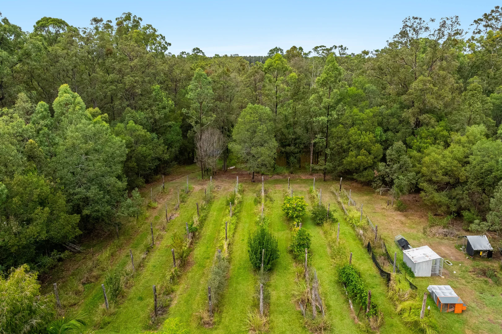 Additional image 3 of 2275 Coraki Ellangowan Road, Ellangowan NSW 2470