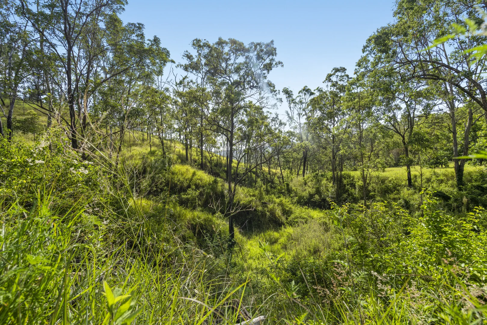 Additional image 23 of 1554 Duck Creek Road, Kerry QLD 4285