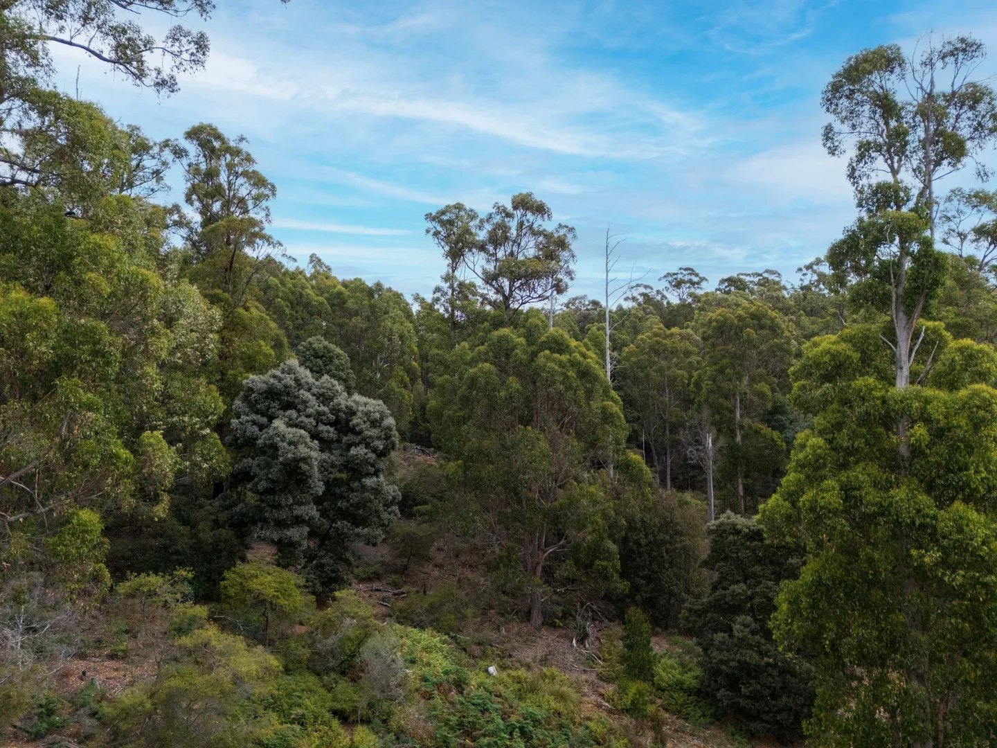 Additional image 6 of 1015 West Kentish Road, West Kentish TAS 7306