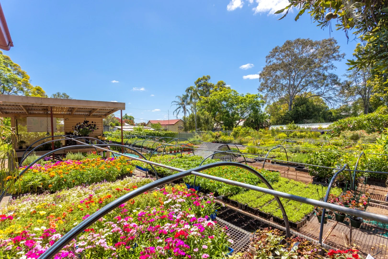 Additional image 4 of 1-5 William Street, Wingham NSW 2429