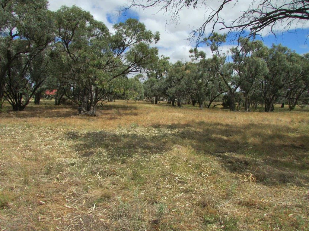 Additional image 12 of 54-62 King St, Brim VIC 3391