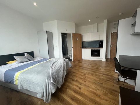 Old Town Street, Plymouth PL1, Studio to rent