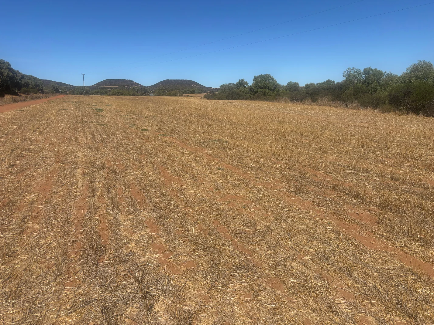 Additional image 3 of Lot 1 Giles Road, Moonyoonooka WA 6532