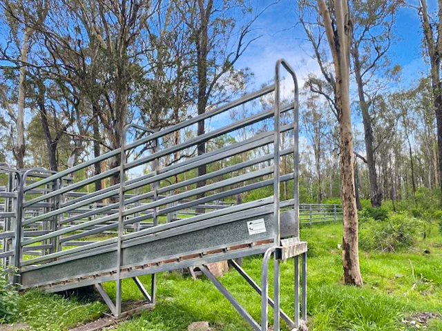 Additional image 9 of Lot 119 Ellangowan Myrtle Creek Road, Ellangowan NSW 2470
