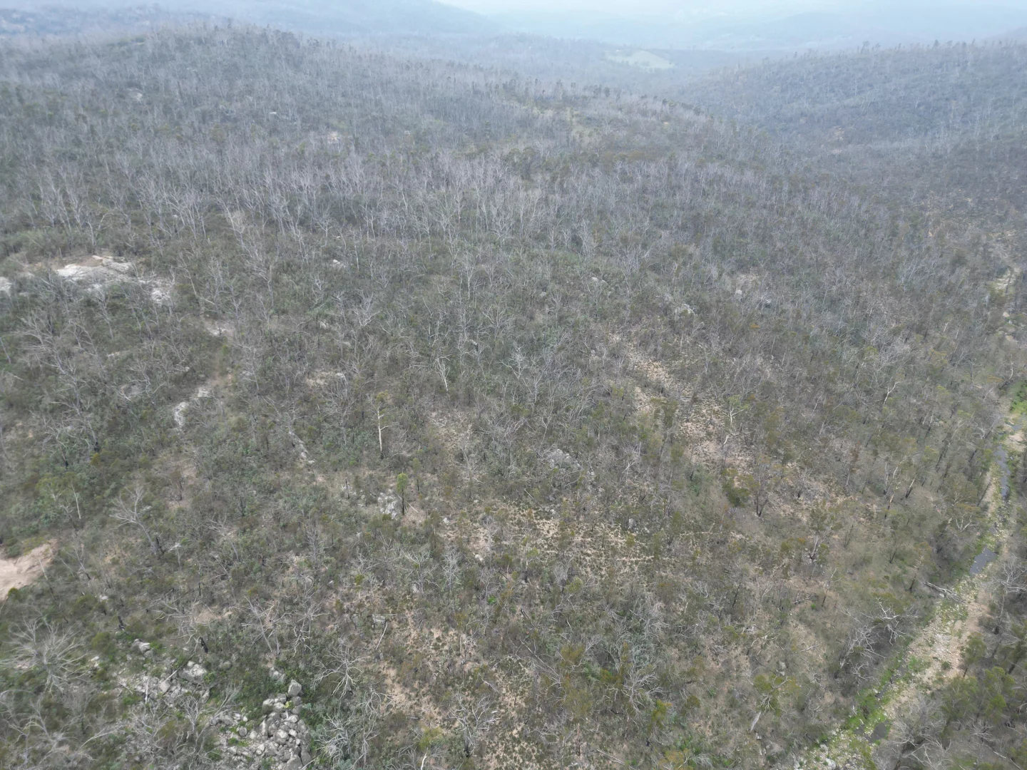 Additional image 25 of Lot 97/97, 175 Tumbledown Road, Peak View NSW 2630