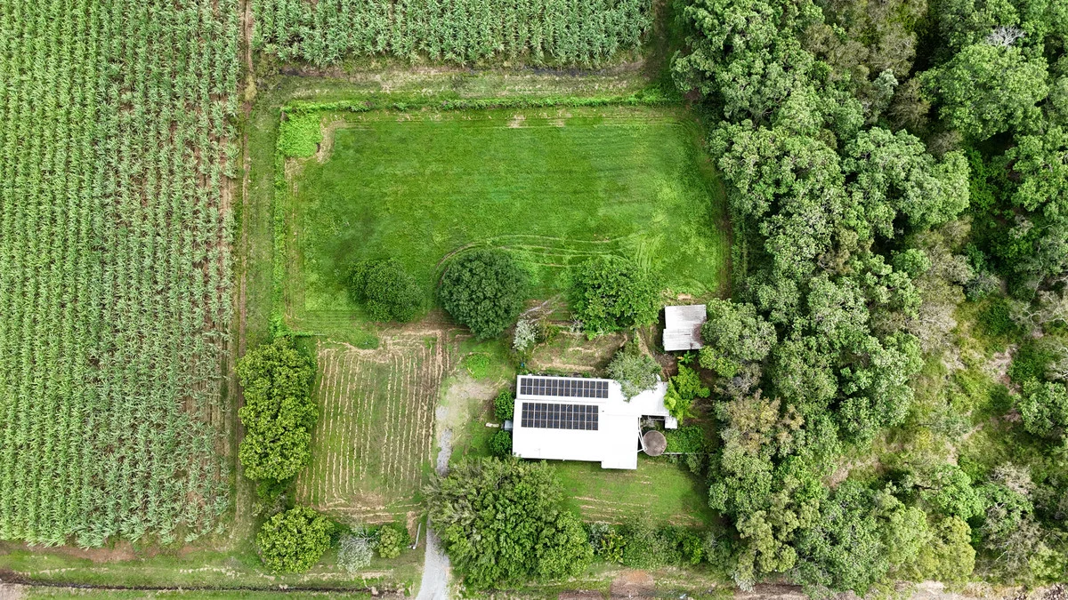 Additional image 26 of 141 Hay Point Road, Alligator Creek QLD 4740