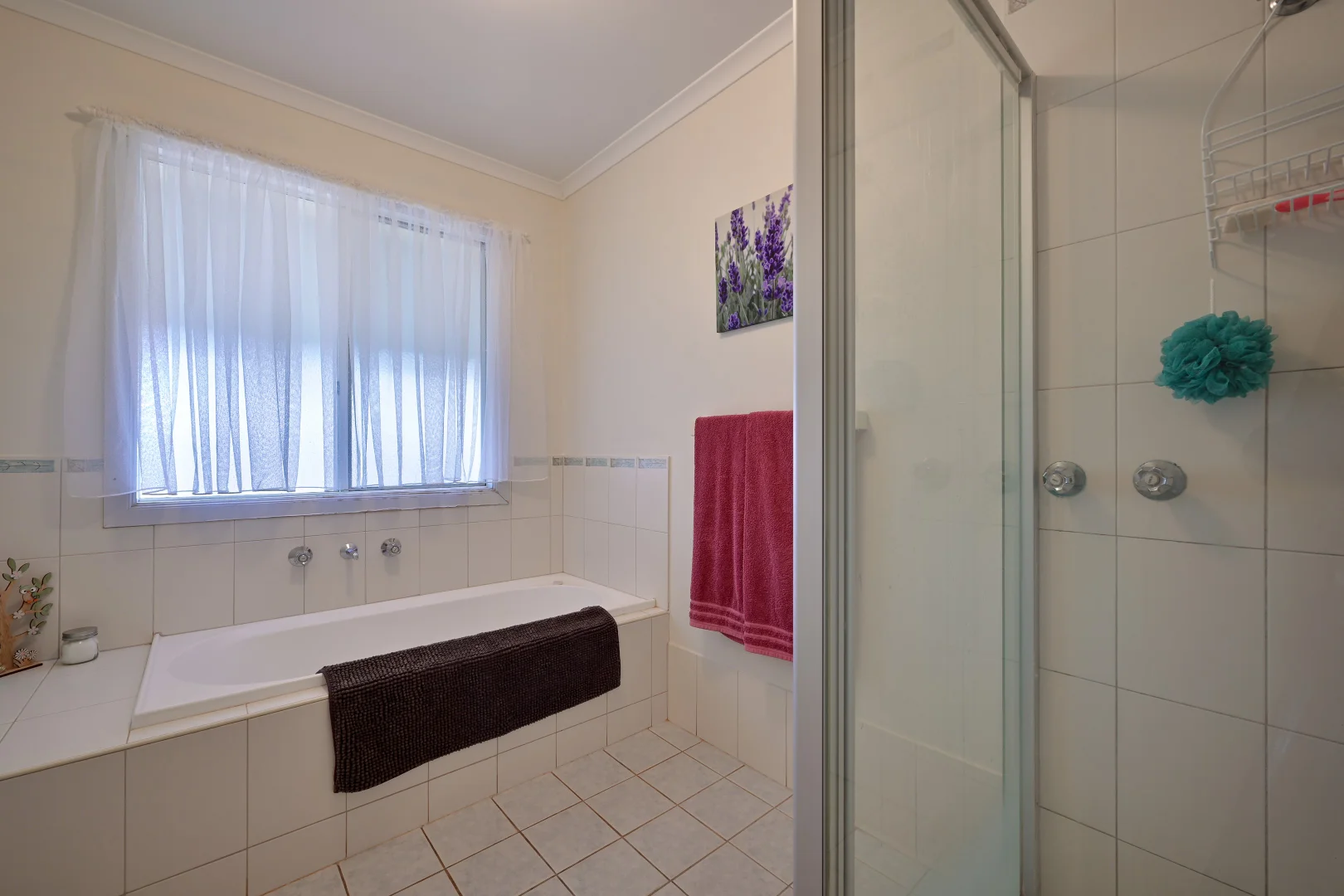 Additional image 17 of 11 Elliott Street, Quorn SA 5433
