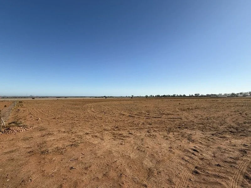 Additional image 4 of Lot 1051 Jericho Road, Napperby SA 5540