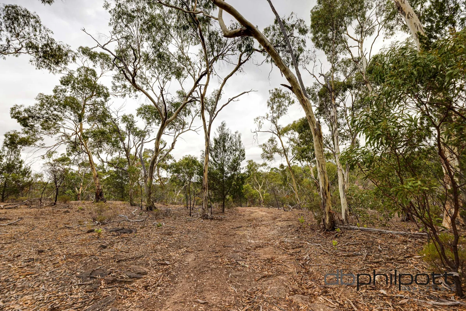 Additional image 21 of 215 Goldfields Road, Barossa Goldfields SA 5351