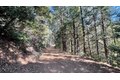 Additional image 8 of Yuletide Way, Georgetown, CA, 95634
