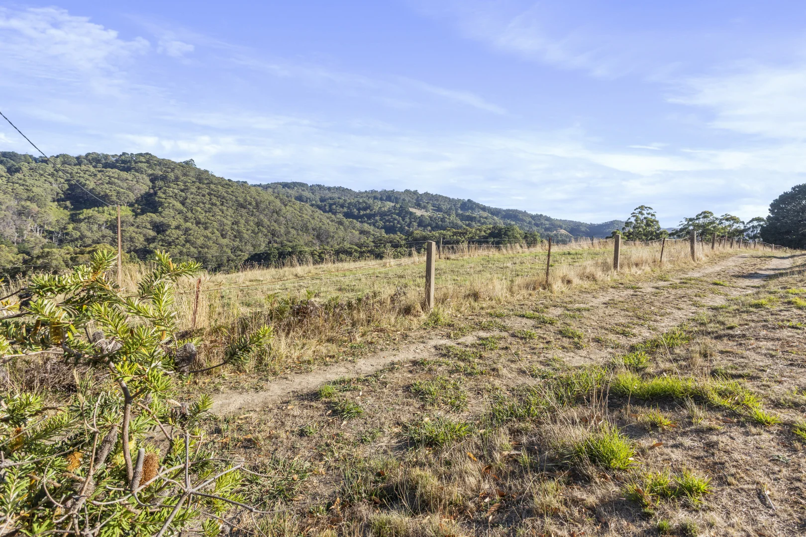 261 Range Road, Basket Range SA 5138 photo 3