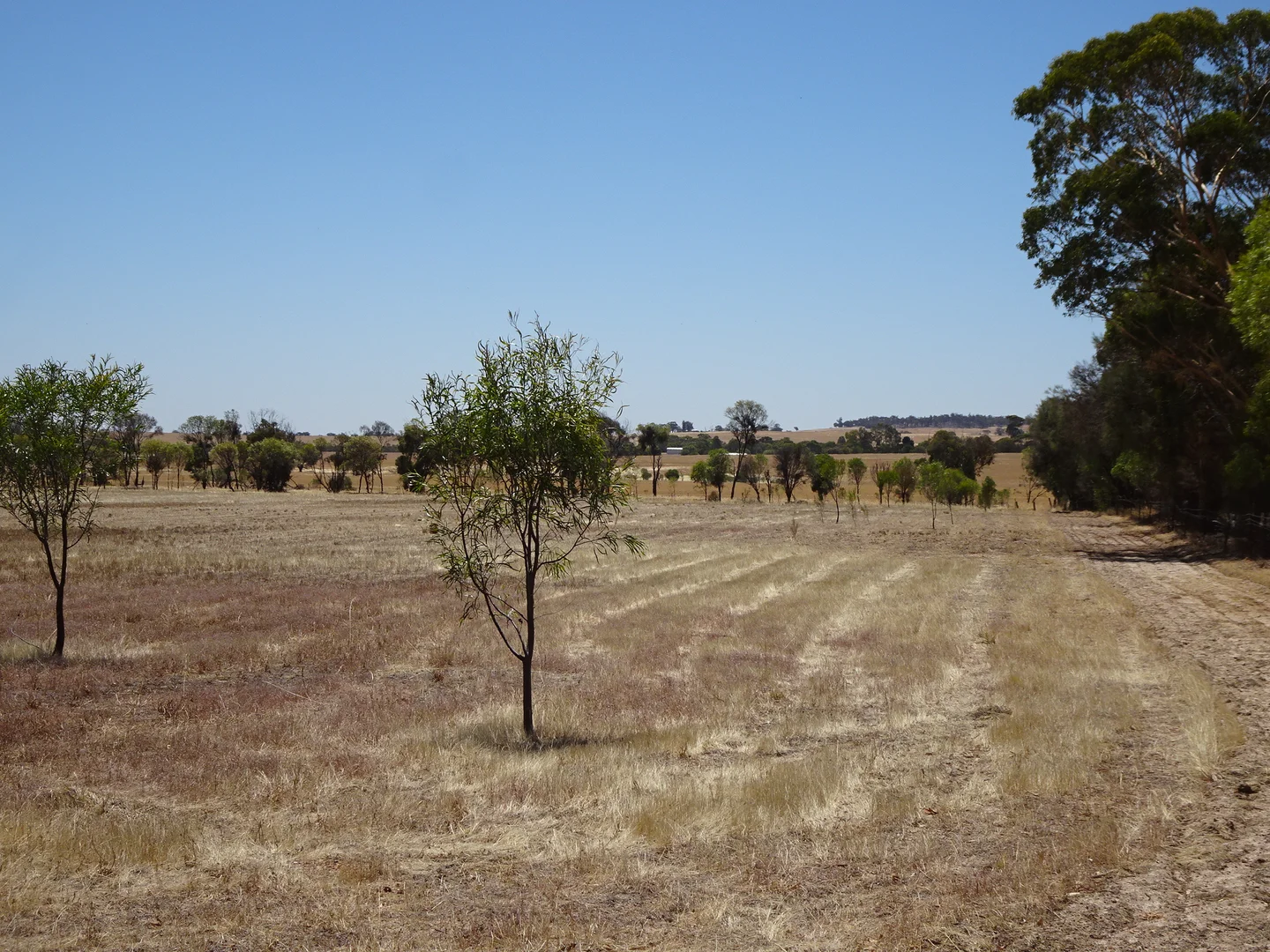 5 Realm Street, Pingelly WA 6308 photo 4