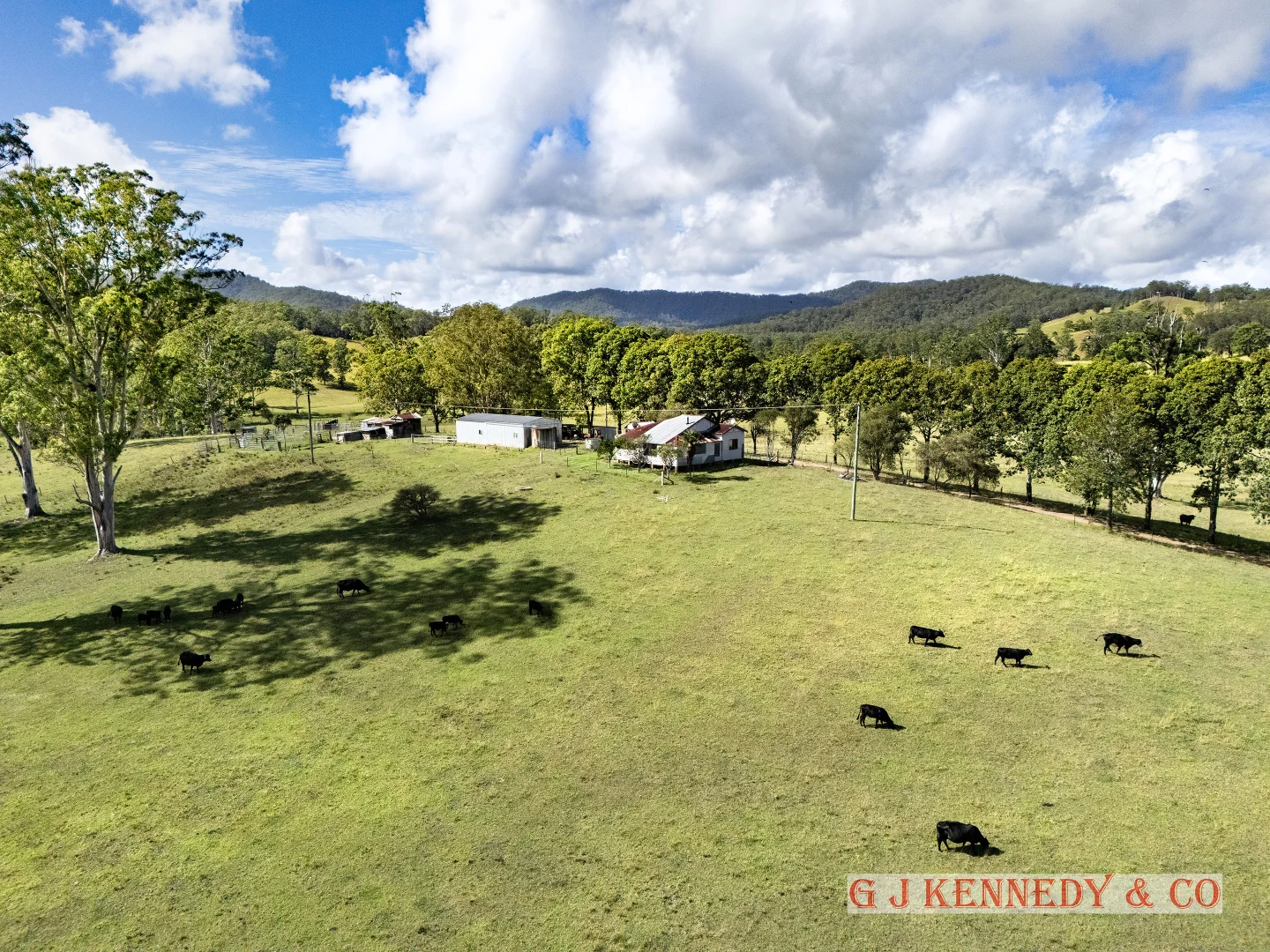 Additional image 12 of 223 Bakers Creek Road, Taylors Arm NSW 2447
