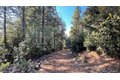 Additional image 21 of Yuletide Way, Georgetown, CA, 95634