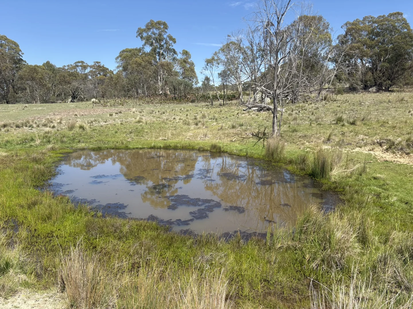Additional image 12 of Lot 31/31, 175 Tumbledown Road, Peak View NSW 2630
