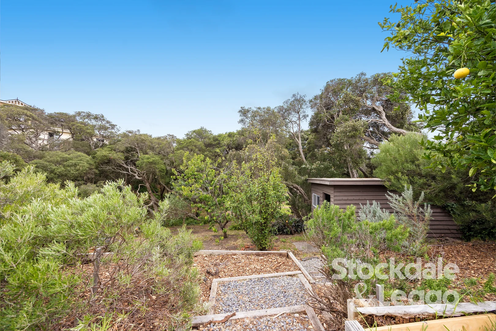 Additional image 9 of 88 Creedmore Drive, Rye VIC 3941