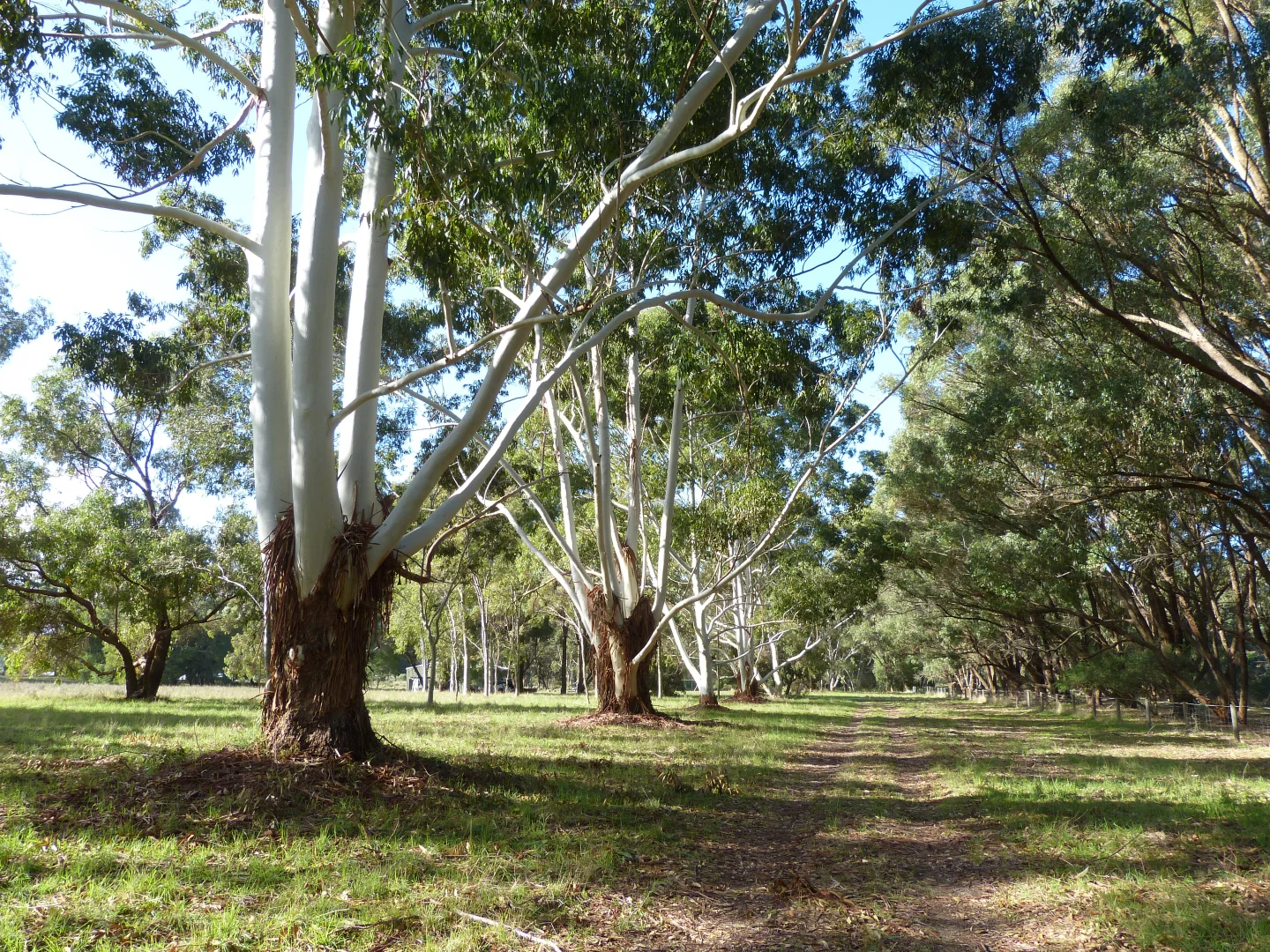 Additional image 2 of Lot 6/338 Fletcher Road, Karnup WA 6176