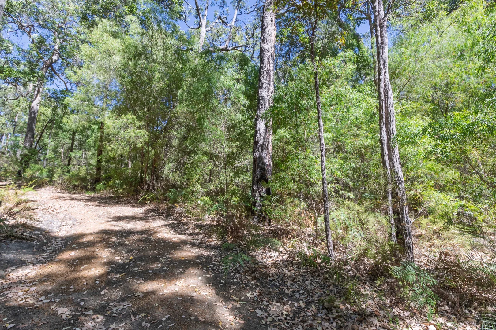 Additional image 3 of Lot 52 Karri Lane, Quinninup WA 6258