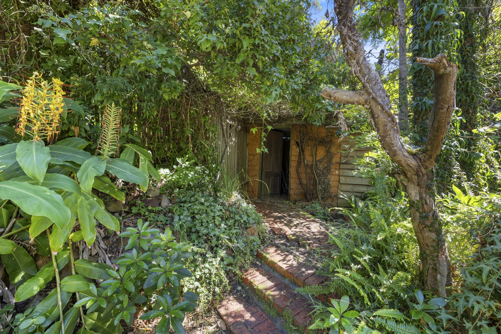 Additional image 24 of 2 Woodland Drive, Merimbula NSW 2548