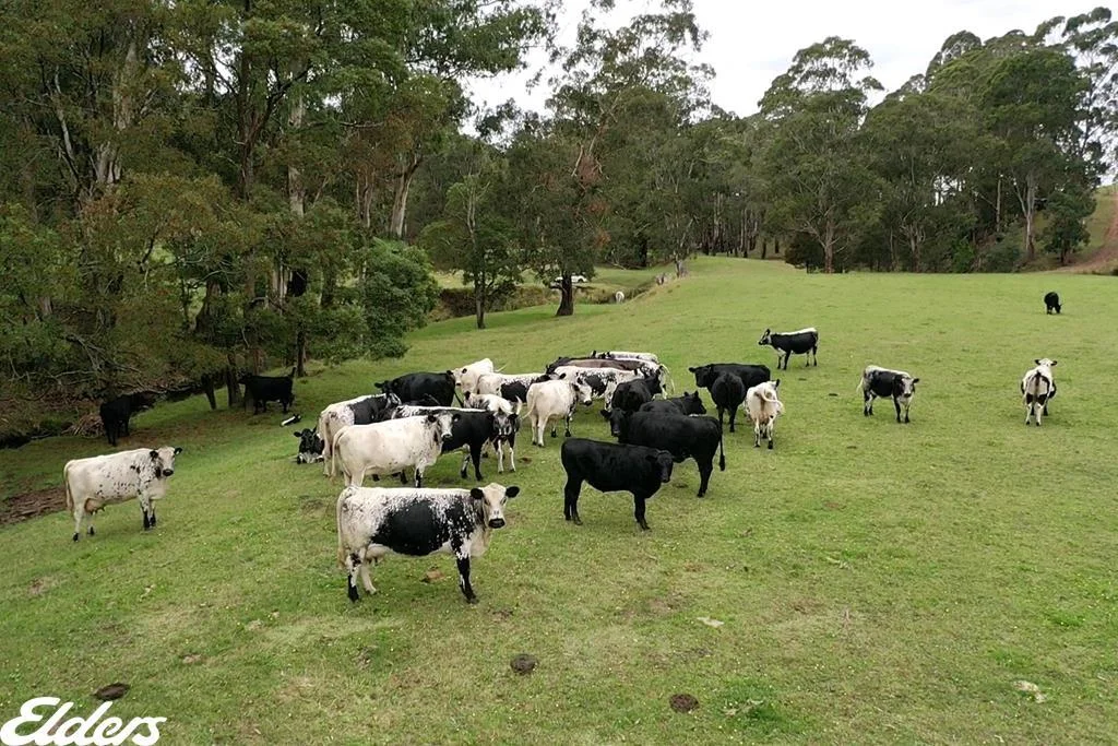Additional image 26 of 235 Lays Road, Willung South VIC 3847
