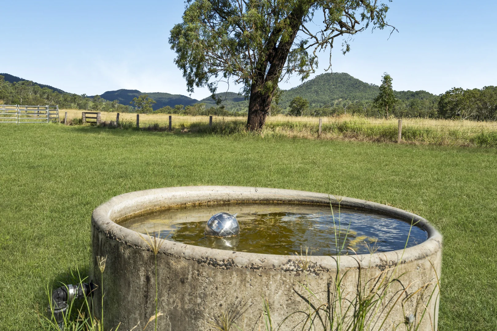 Additional image 5 of 1554 Duck Creek Road, Kerry QLD 4285