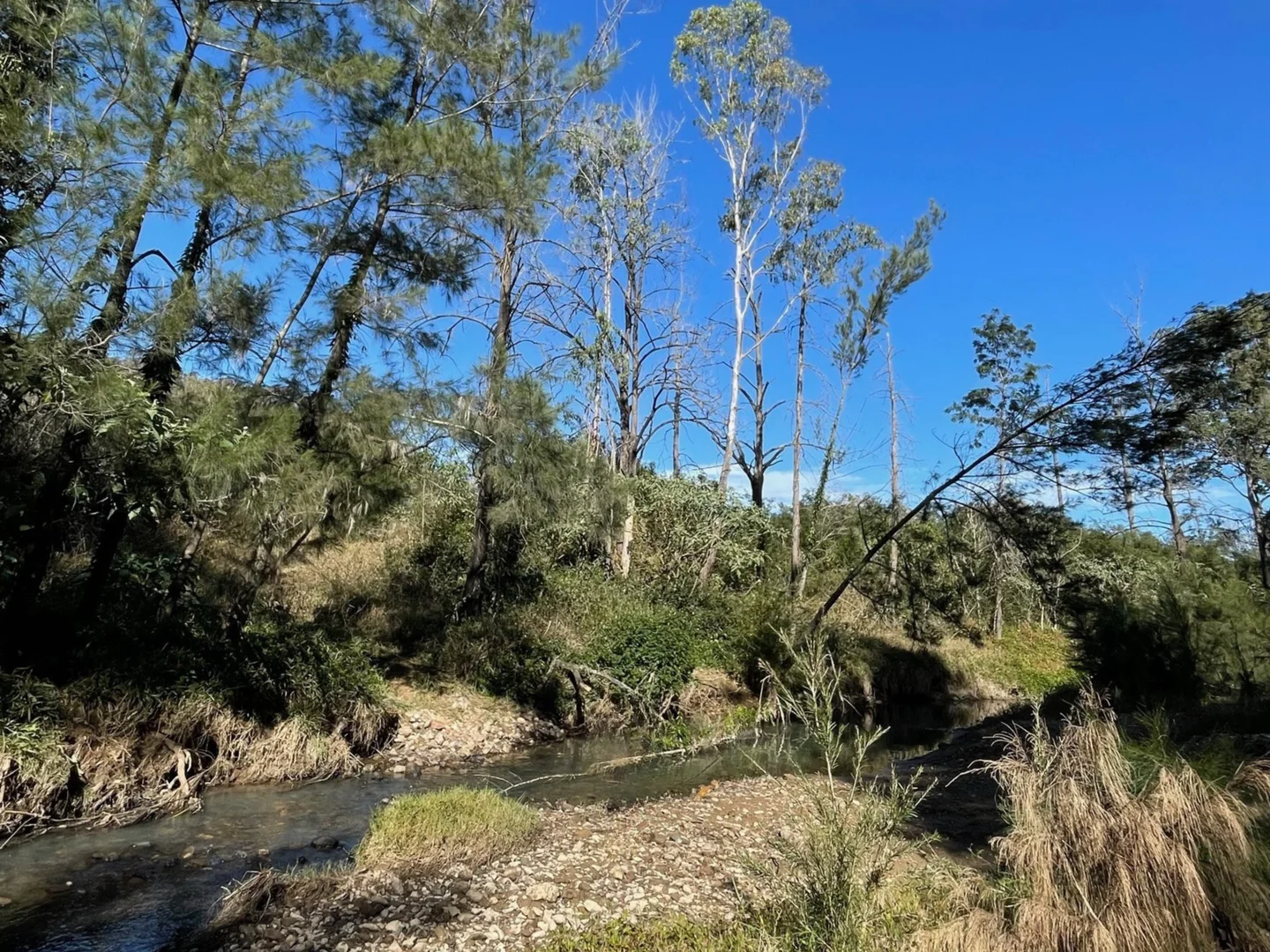 Additional image 2 of Lot 62 Armidale Road, Blaxlands Creek NSW 2460