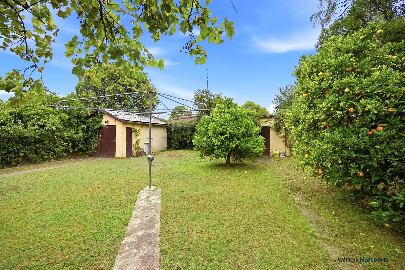 Additional image 19 of 45 Bon Street, Alexandra VIC 3714
