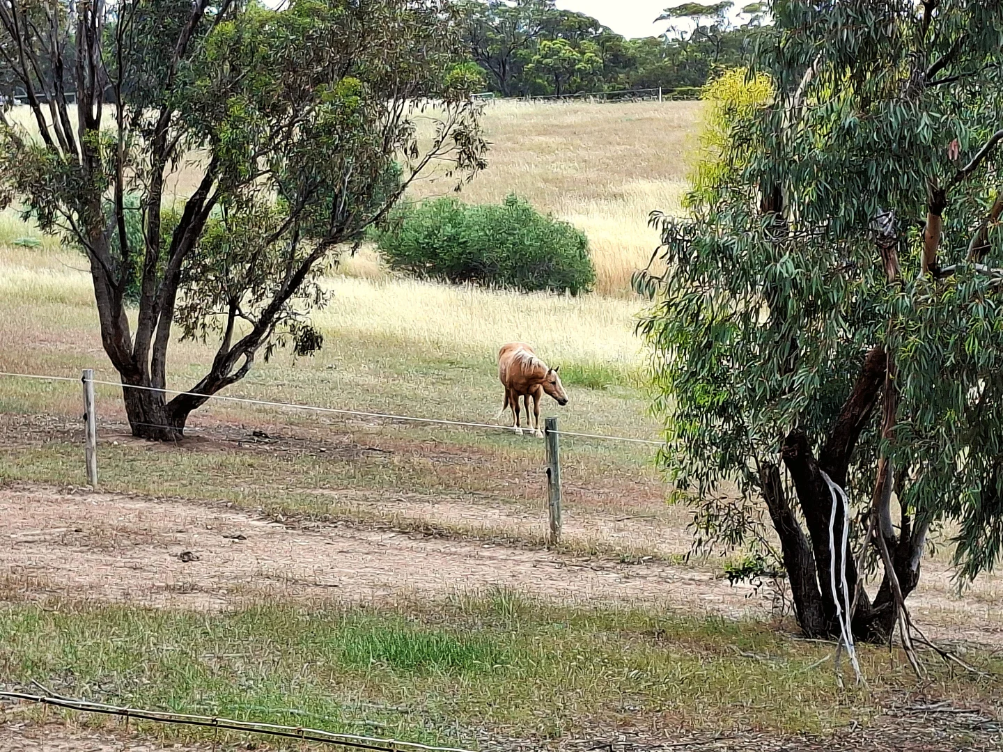 Additional image 3 of 645 States Road, Onkaparinga Hills SA 5163