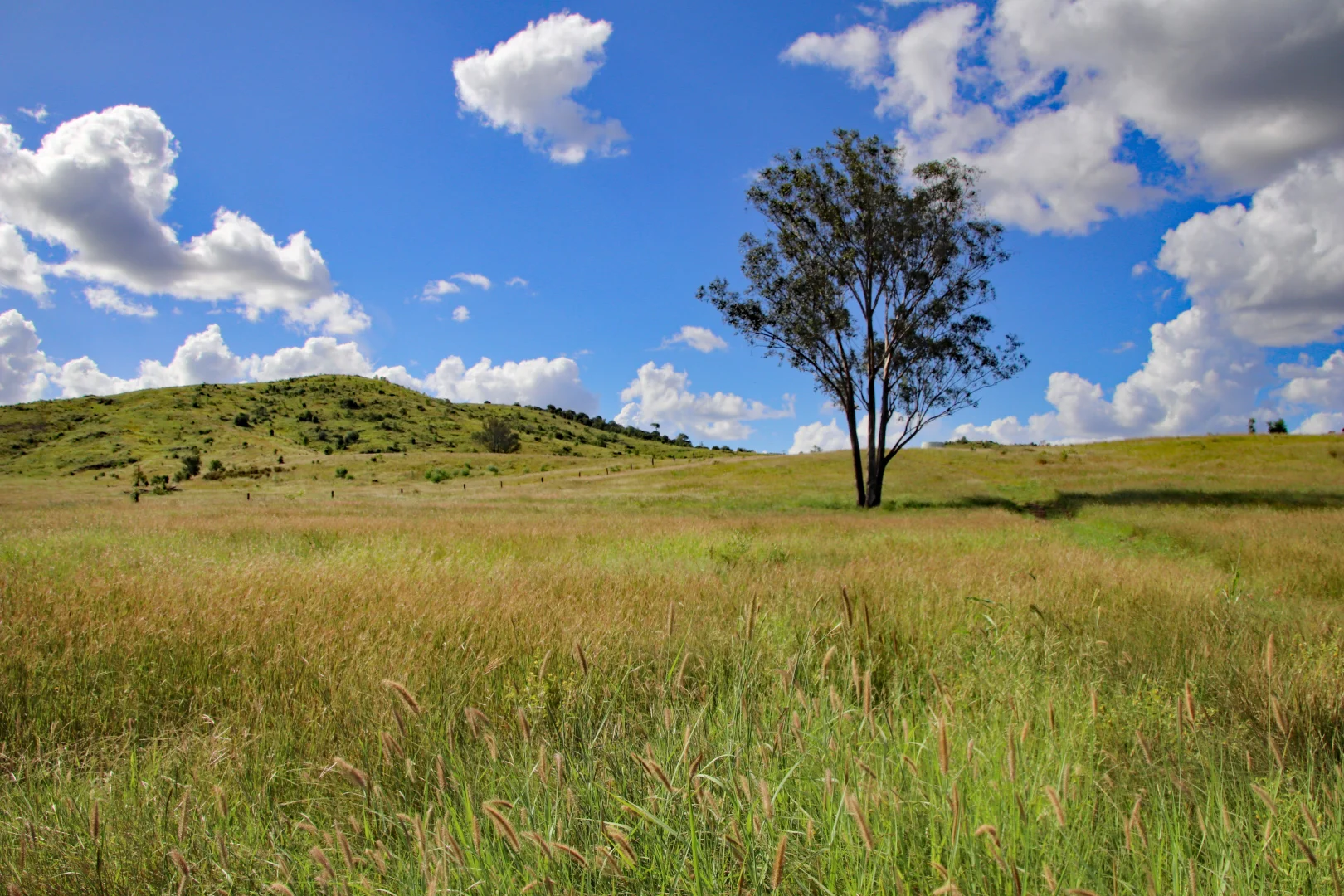 Additional image 8 of "Scrubview" Frawleys Road, Thangool QLD 4716
