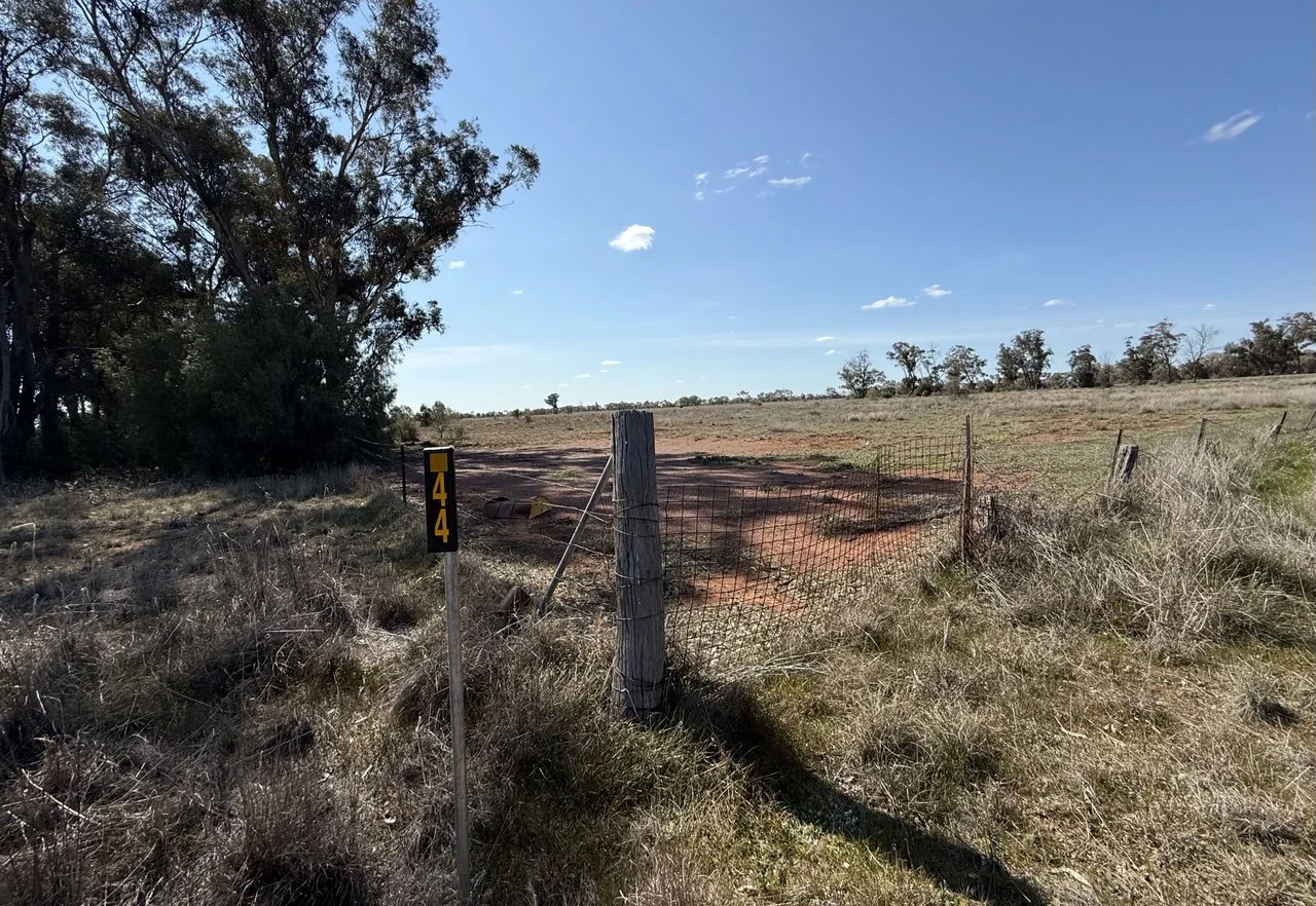 44 Dows Lane, Peak Hill NSW 2869