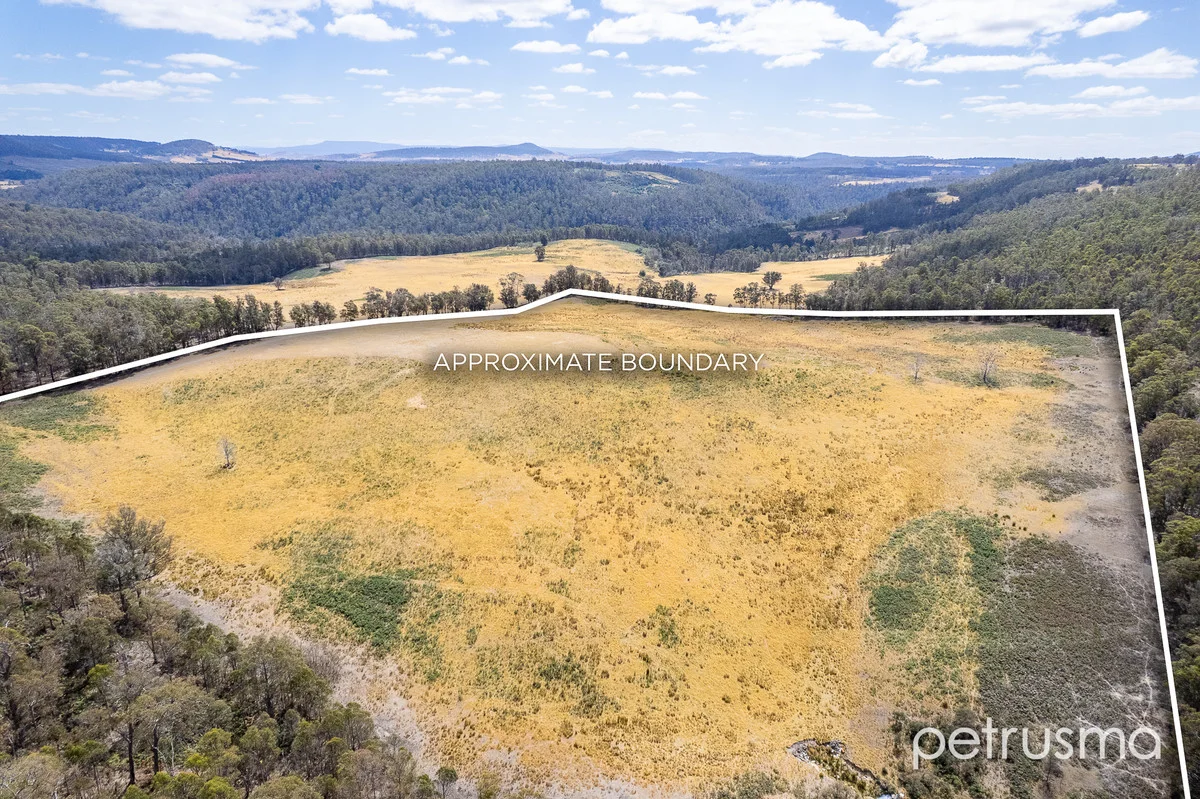 Additional image 39 of 127 Lyalls Road, Tunnack TAS 7120