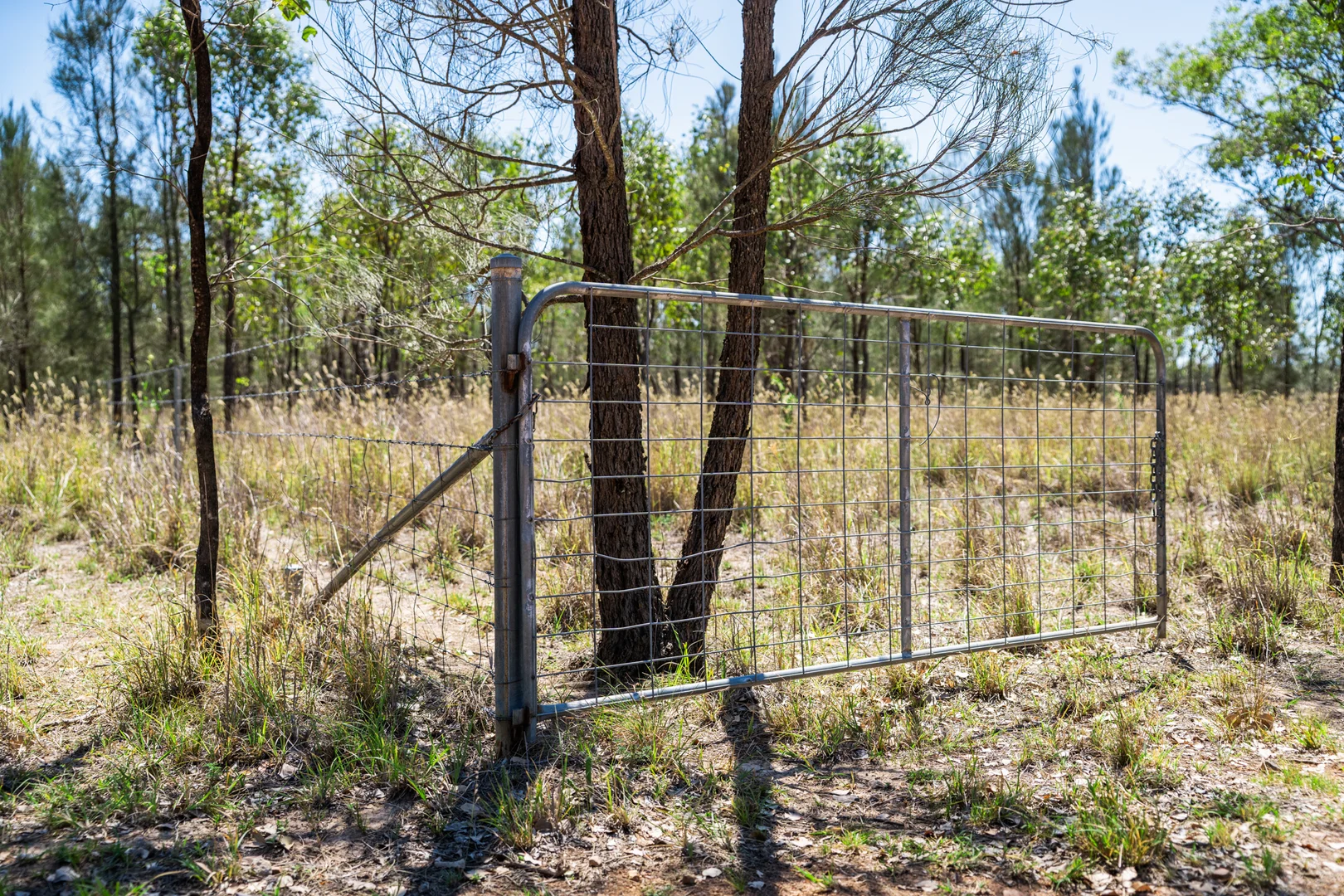 Additional image 19 of Lot 2 Sprints Drive, Leyburn QLD 4365