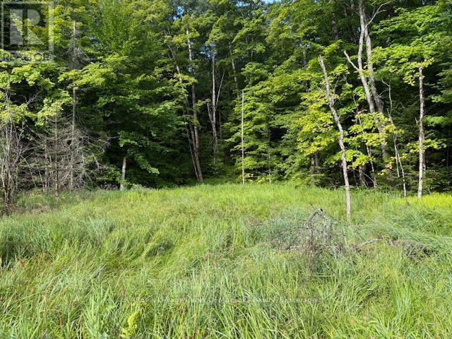 1788 OLD MUSKOKA ROAD
