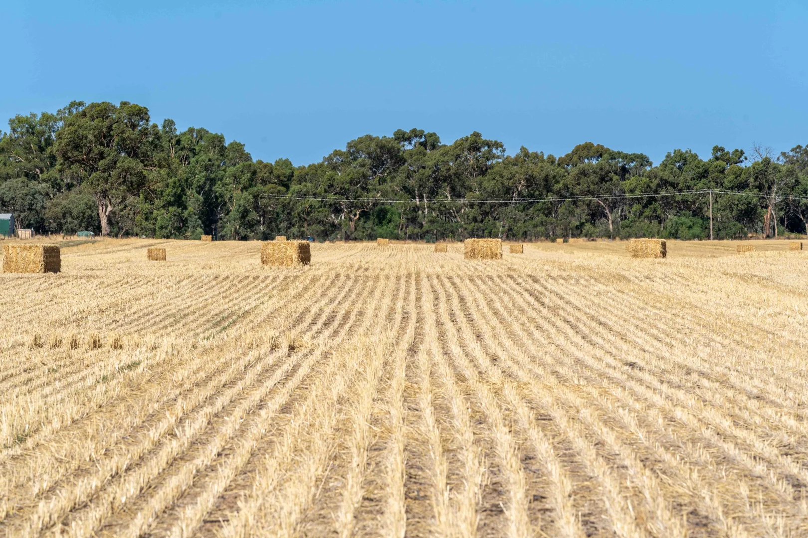 Additional image 2 of 96 Odwyer Road, Tabilk VIC 3607