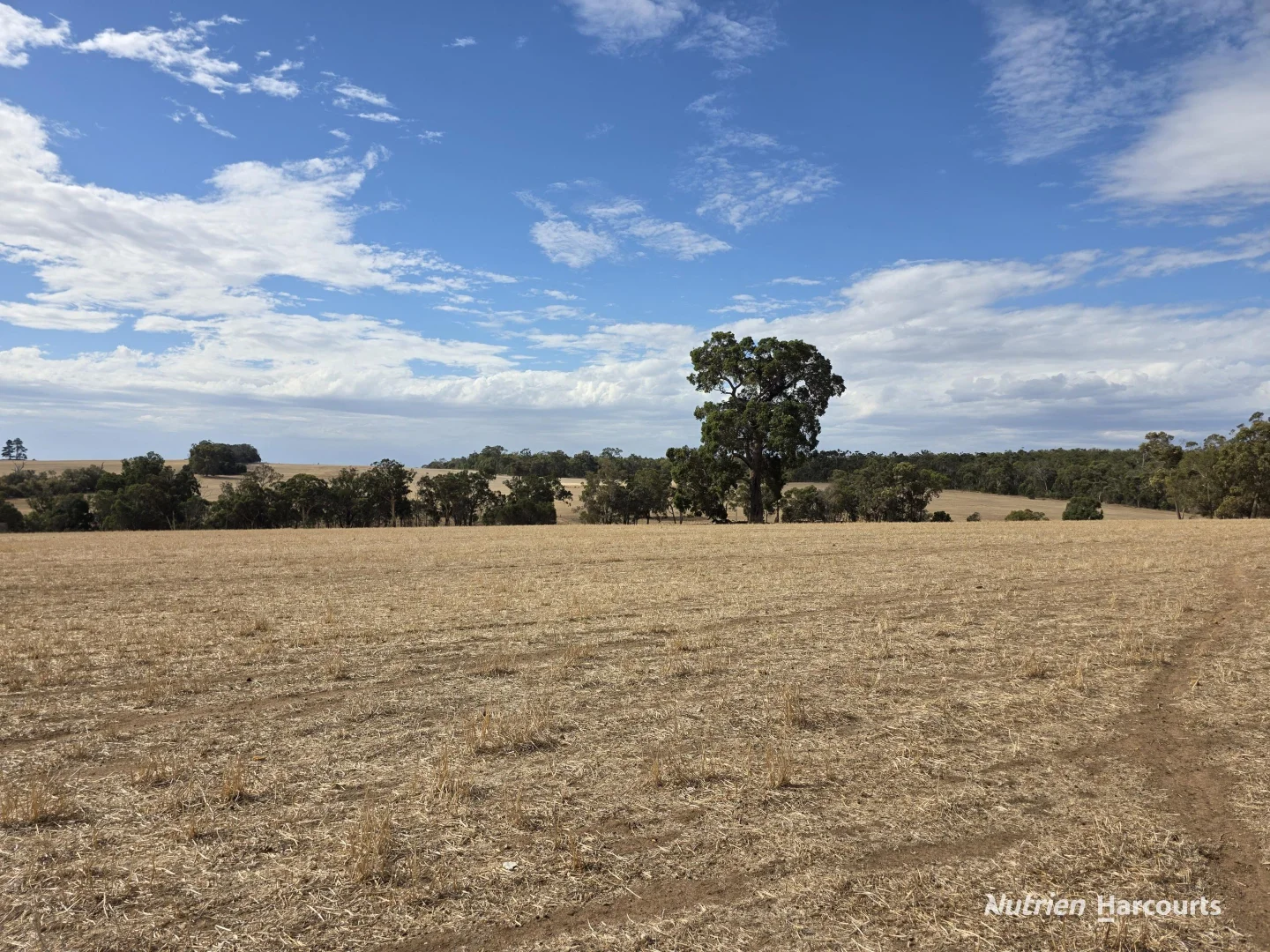 "Bloomvale", Bloomfields Road, Scotts Brook WA 6244 photo 5