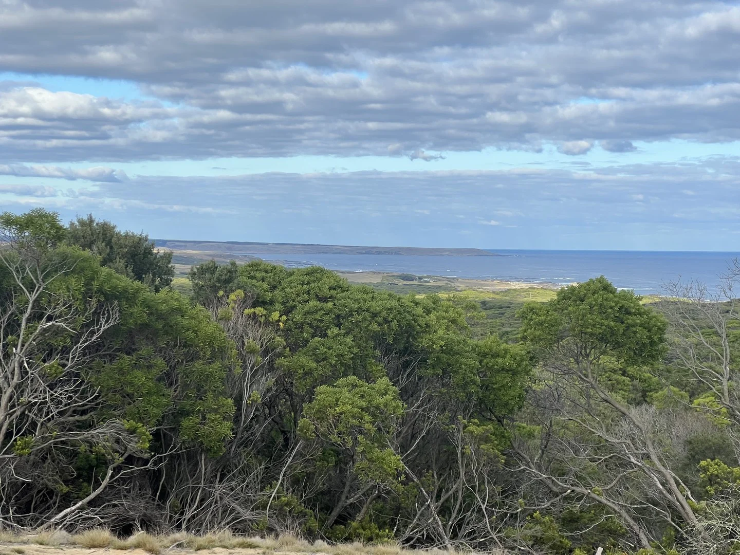 Additional image 3 of 274 South Road, Nugara TAS 7256
