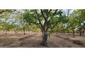 Additional image 47 of 700 Wellsford Rd, Modesto, CA, 95357