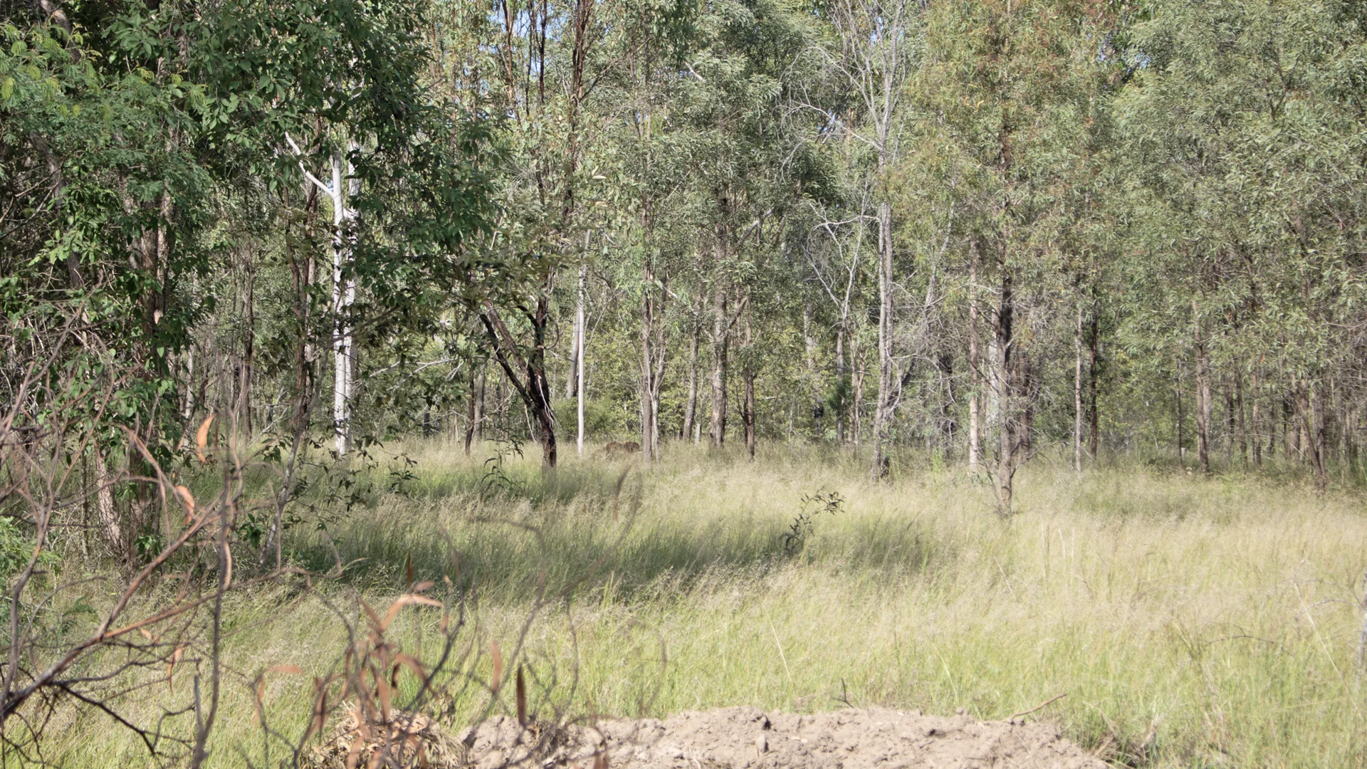 Lot 2/MPH22655 Burnett Highway, Eidsvold QLD 4627